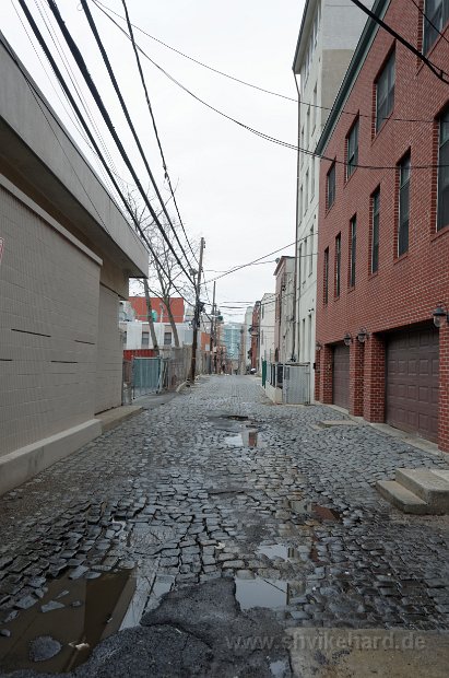 DSC_0889