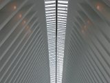 DSC_0588.jpg