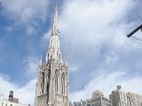 DSC_0595.jpg