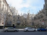 DSC_0597.jpg