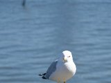 DSC_0625.jpg