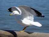 DSC_0626.jpg