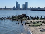 DSC_0627.jpg