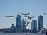 DSC_0628.jpg