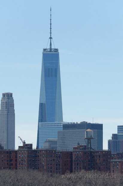 DSC_0950