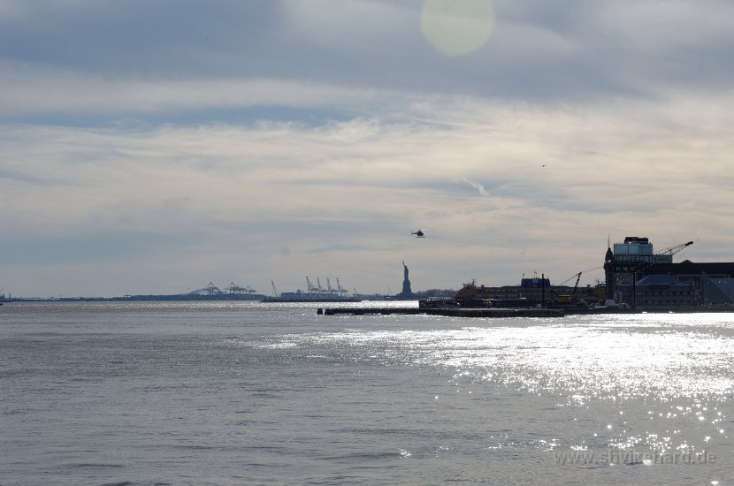 DSC_0960