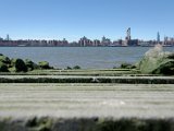 DSC_0932.jpg