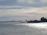DSC_0960.jpg