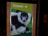 DSC_0072.jpg