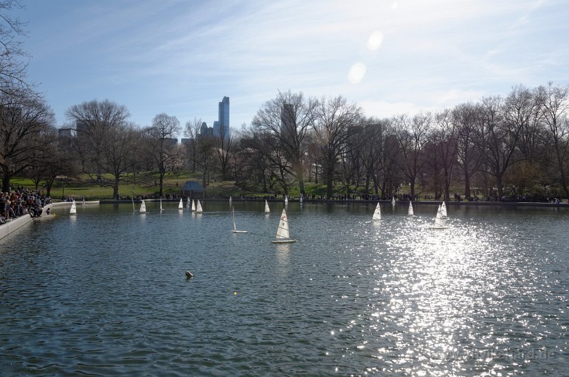 DSC_0980