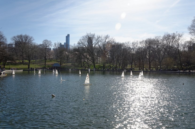 DSC_0981