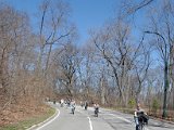 DSC_0970.jpg