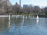 DSC_0972.jpg