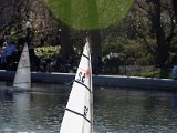 DSC_0976.jpg