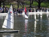 DSC_0977.jpg