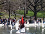 DSC_0979.jpg