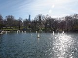 DSC_0980.jpg
