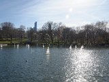 DSC_0981.jpg