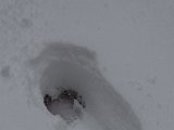 DSC_0083.jpg