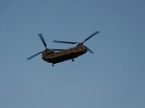 DSC_0088.jpg