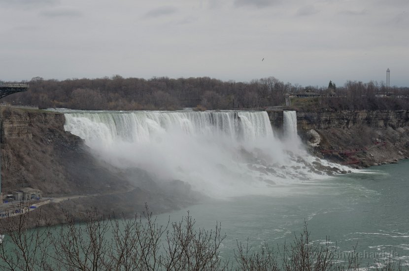 DSC_0004