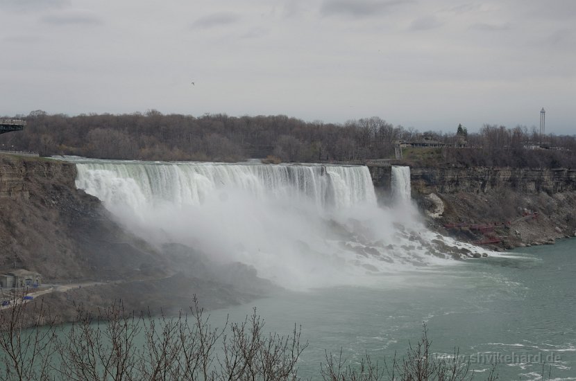 DSC_0005