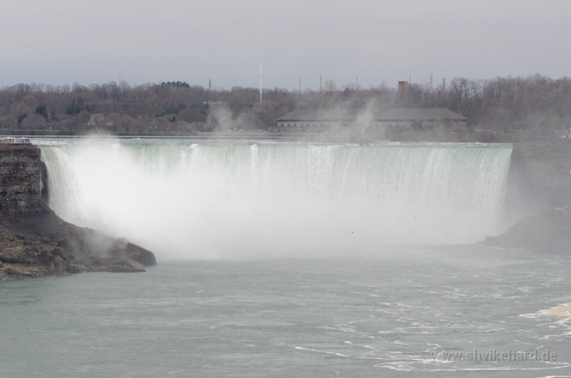 DSC_0019