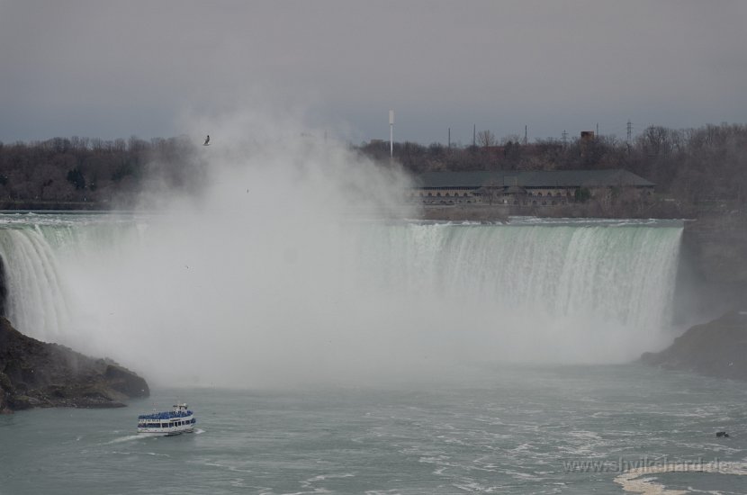 DSC_0031
