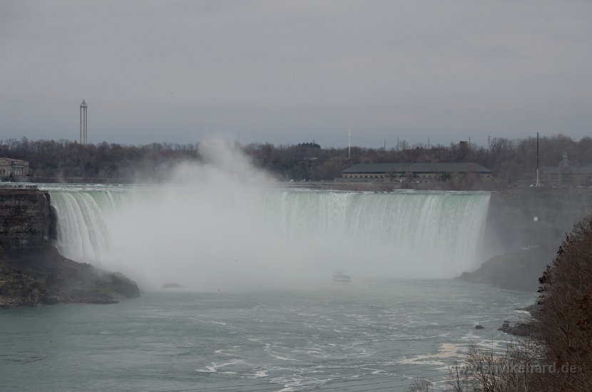 DSC_0035