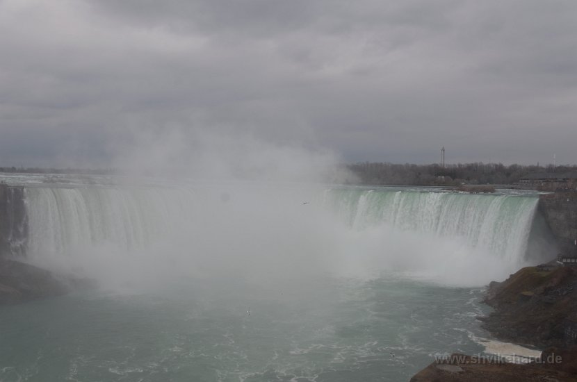 DSC_0049