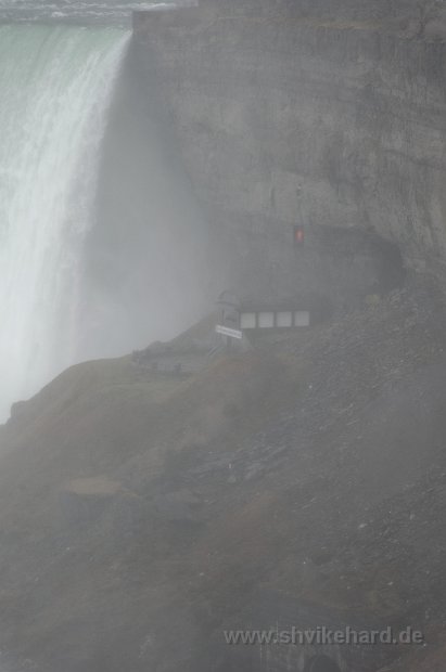 DSC_0050