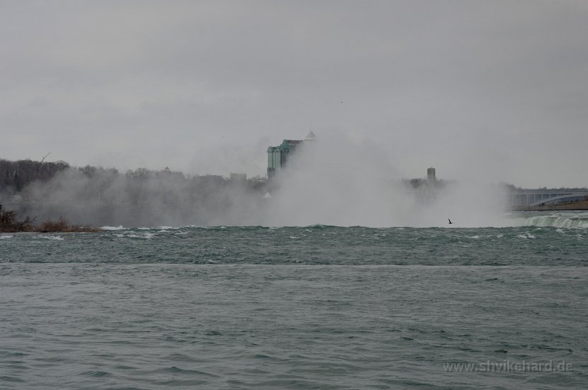 DSC_0089