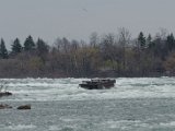 DSC_0077.jpg