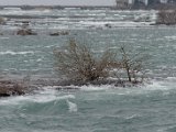 DSC_0080.jpg