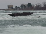 DSC_0081.jpg