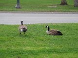 DSC_0091.jpg