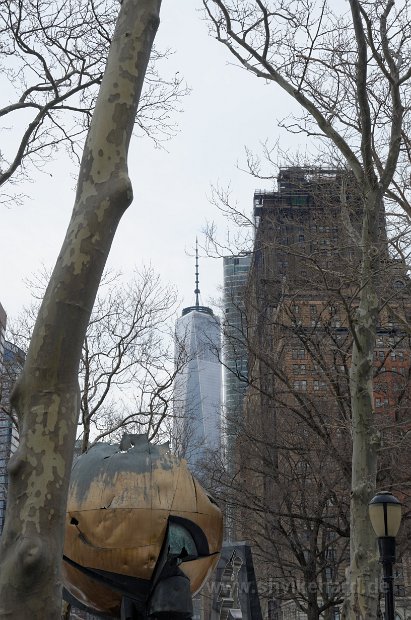 DSC_0131