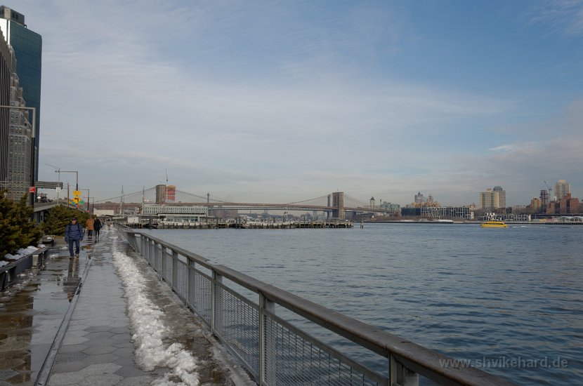 DSC_0194