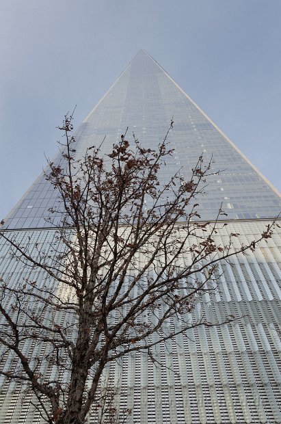 DSC_0220