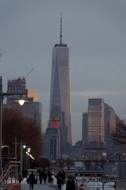 DSC_0238