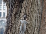 DSC_0106.jpg