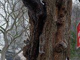 DSC_0107.jpg