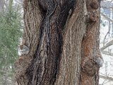 DSC_0108.jpg