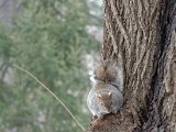DSC_0109.jpg