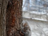 DSC_0110.jpg