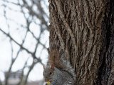 DSC_0111.jpg