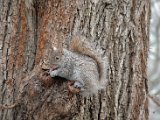DSC_0112.jpg