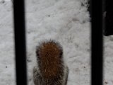 DSC_0113.jpg