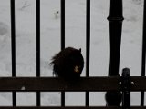 DSC_0115.jpg