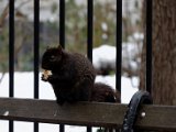 DSC_0116.jpg